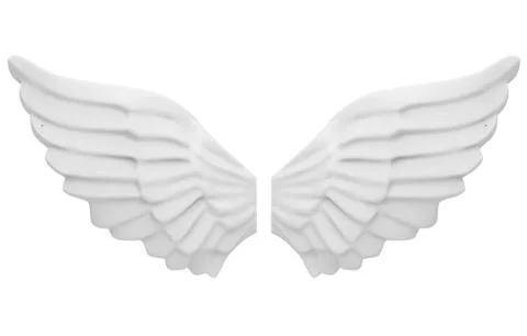 The angel's wings Stock Illustration