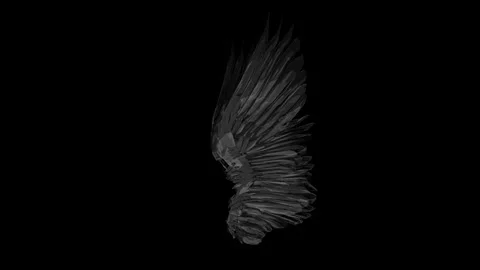 Angelwings glass side Stock Footage 343873203