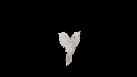 AngelWingsWhite front Stock Footage 340281254