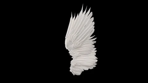 AngelWingsWhite side Stock Footage 340281246