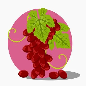Anggur Stock Illustration