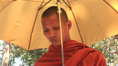 Angkor Buddhist monks Stock Footage 527668