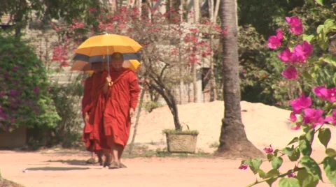 Angkor Buddhist monks Stock Footage 535695