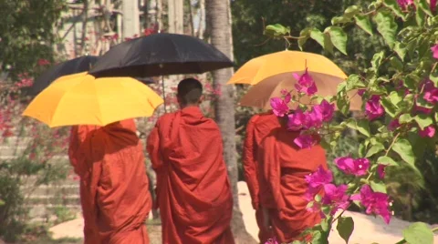 Angkor Buddhist monks Stock Footage 535699