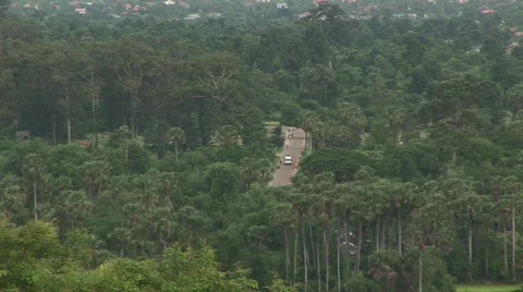 Angkor Stock Footage 522393