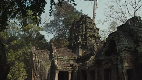 Angkor Temples Video stock 220656297