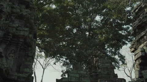 Angkor Temples Stock Footage 220656999