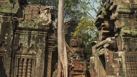 Angkor Temples Stock Footage 220657863