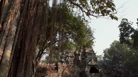 Angkor Temples Stock Footage 220660829