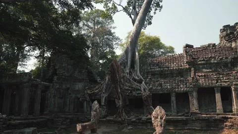 Angkor Temples Stock Footage 220661690