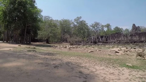 Angkor Thom with Dog, Pan left and right Stock-Footage 75431260