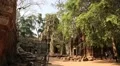 Angkor Thom temple complex in Siem Reap, Cambodia HD Footage