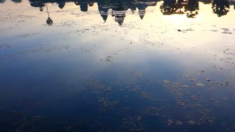 Angkor wat Video stock 77946126