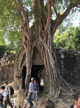Angkor wat location Stock Photos