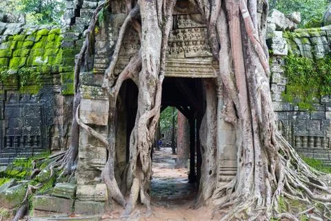 Angkor Wat Stock Photos