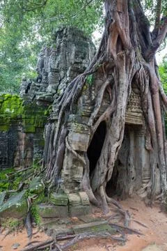 Angkor Wat Foto stock