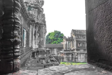 Angkor Wat Stock Photos