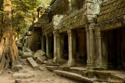 Angkor Wat Stock Photos