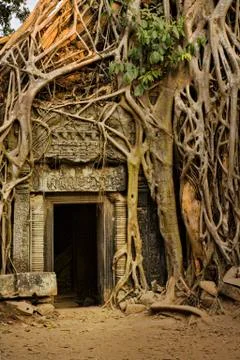 Angkor Wat Foto stock