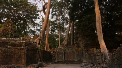 Angkor wat temple complex cambodia evening Stock Footage 130966751