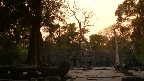 Angkor wat temple complex cambodia evening Video stock 130966835