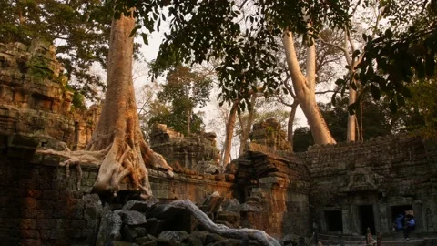 Angkor wat temple complex cambodia Video stock 130967006