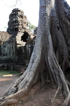 Angkor Wat Temple Stock Photos