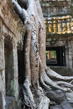 Angkor Wat Temple Stock Photos