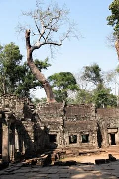 Angkor Wat Temple Stock Photos