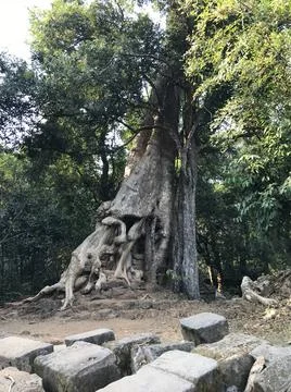 Angkor wat temple Stock Photos