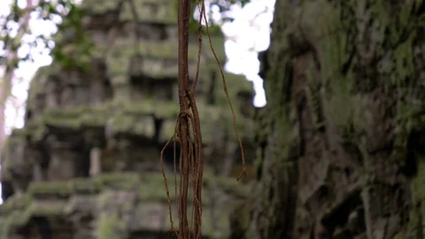 Angkor Wat Temple Pull Focus Stock Footage 120664887