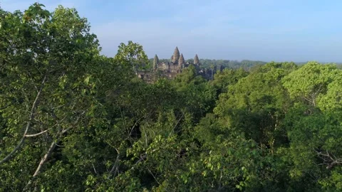 Angkor Wat Tree Zipline Camera Aerial Drone Cambidia Temple Buddhist Stock Footage 307130362