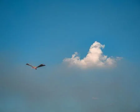 Angle bird kite with small cloud in blue sky of a mid day. Stock Photos