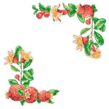 Angle border frame with fresh juice pomegranate fruits in vector graphic illu Stock-Illustration