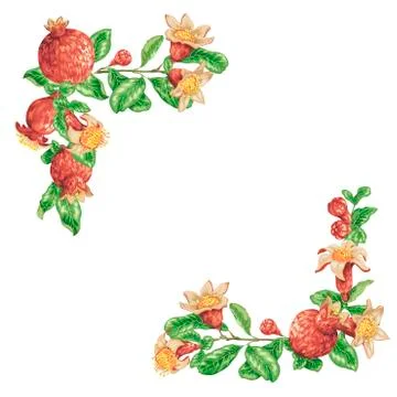 Angle border frame with fresh juice pomegranate fruits in vector graphic illu Stock Illustration