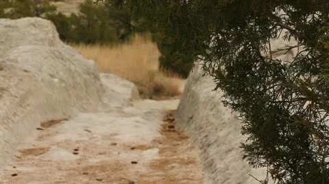 Angle on cedar branch rack focus to ruts along Oregon Trail Video stock 10923612