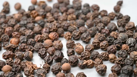 Angle pan HeiHuJiao or Piperis Fructus or Black Pepper Fruit Stock Footage 164033477