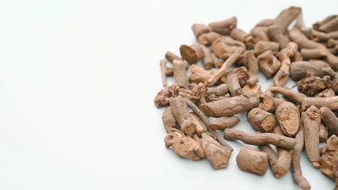 Angle pan her QianCao or Radix Rubiae or India Madder Root Stock Footage 165048286