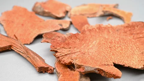 Angle pan herb BaQia or Smilacis Chinae Rhizoma or Chinaroot Greenbrier Rhizo Stock Footage 157745962