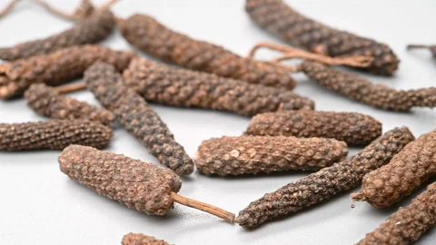 Angle pan herb BiBa or Piper longum Linn. or Fructus Piperis Longi Stock Footage 164034804