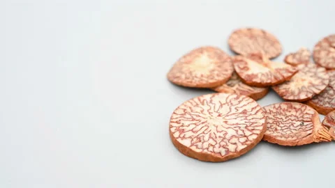 Angle pan herb BingLang or Arecae Semen or Betelnutpalm Seed Stock Footage 163077052