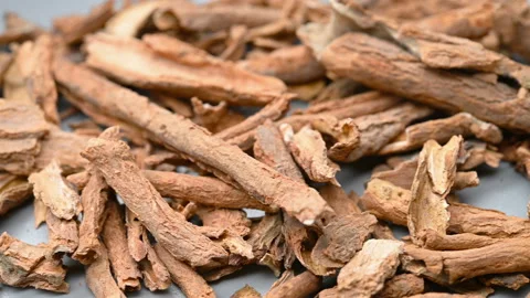 Angle pan herb DiGuPi or Lycii Cortex or Chinese Wolfberry Root - bark Stock Footage 159687830