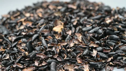 Angle pan herb HeiDouYi or Sojae Semen Nigrum or Black Soybean Seedcoat Stock Footage 156878119