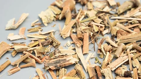 Angle pan herb LongKui or Solanum Nigrum or Black Nightshade Stock Footage 171900030