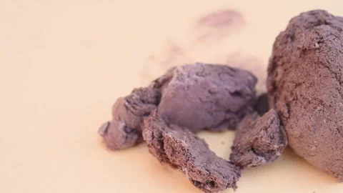 Angle pan herb MaBo or Lasiosphaera Calvatia or Puff-ball Stock Footage 254699101