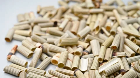 Angle pan herb MuZei or Equiseti Hiemalis Herba or Common Scouring Rush Stock Footage 156877331