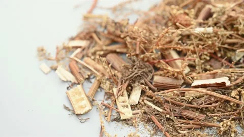 Angle pan herb QingHao or Artemisiae Annuae Herba or Sweet Wormwood Herb Stock Footage 193191938