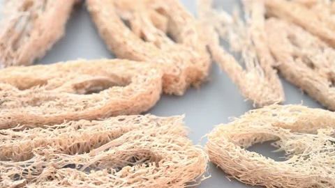 Angle pan herb SiGuaLuo or Luffa Cylindrica or Vegetable Sponge of Luffa Stock Footage 230161805