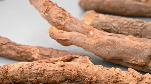 Angle pan herb WuJiaPi or Acanthopanacis Cortex or SlenderstyleAcanthopanax R Stock Footage 164034556