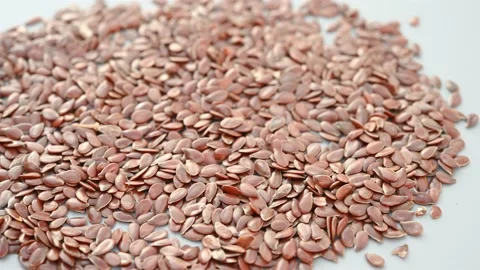 Angle pan herb YaMaZi or Linum usitatissimum or Linseed Stock Footage 230161237